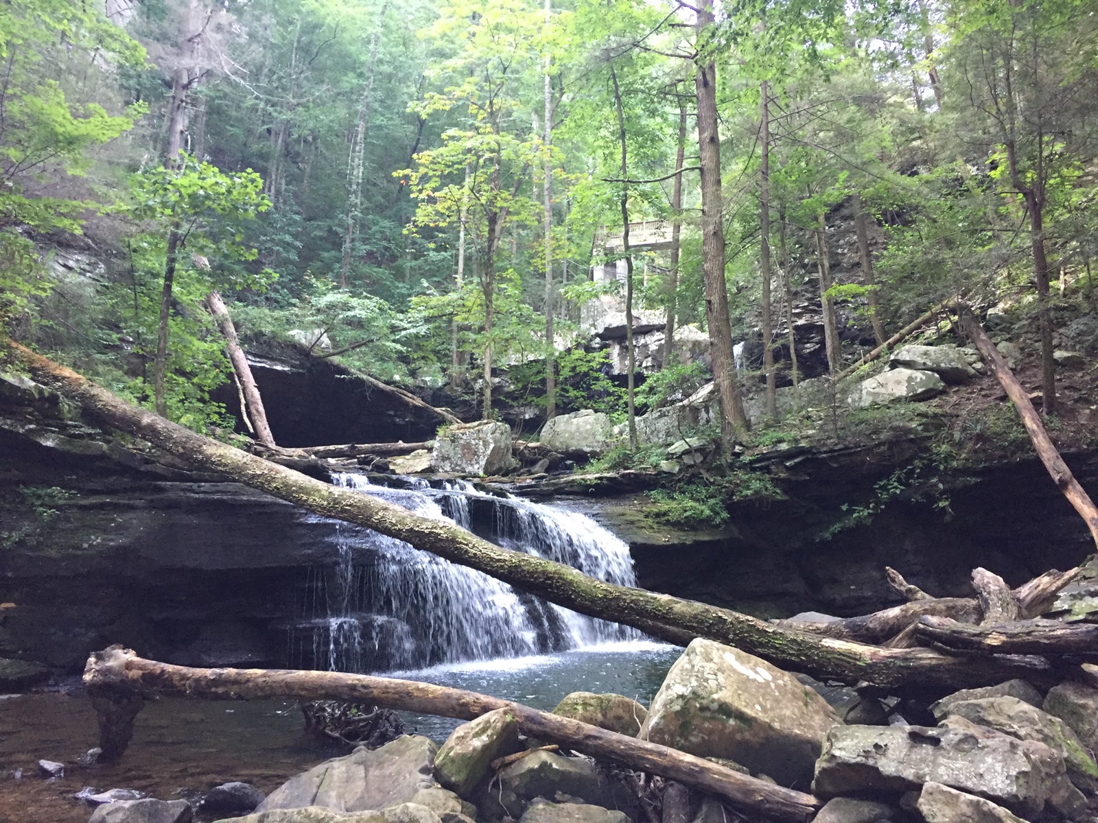 Scenic view of South Georgia nature near Douglas